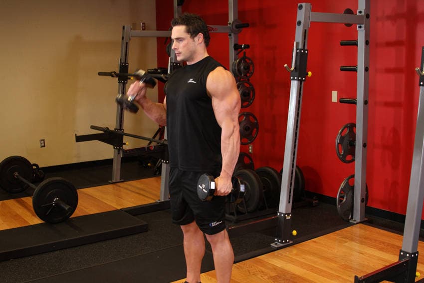 Alternate Hammer Curl position 1