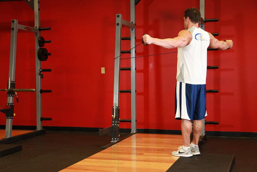 Back Flyes - With Bands position 2