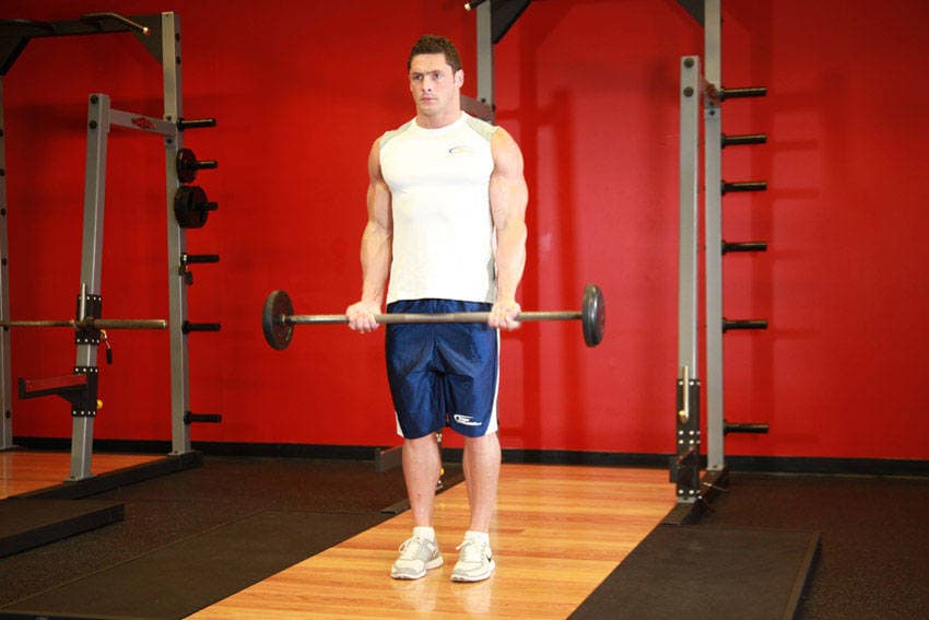 Barbell Curl position 1