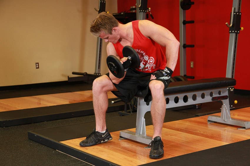 Concentration Curls position 2