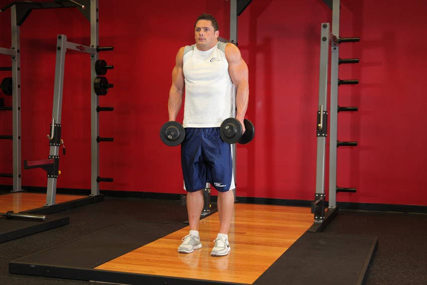 Dumbbell Shrug position 2