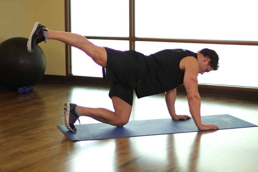 Rear Leg Raises - ending position