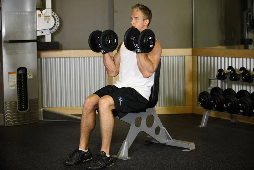 Seated Dumbbell Curl - ending position