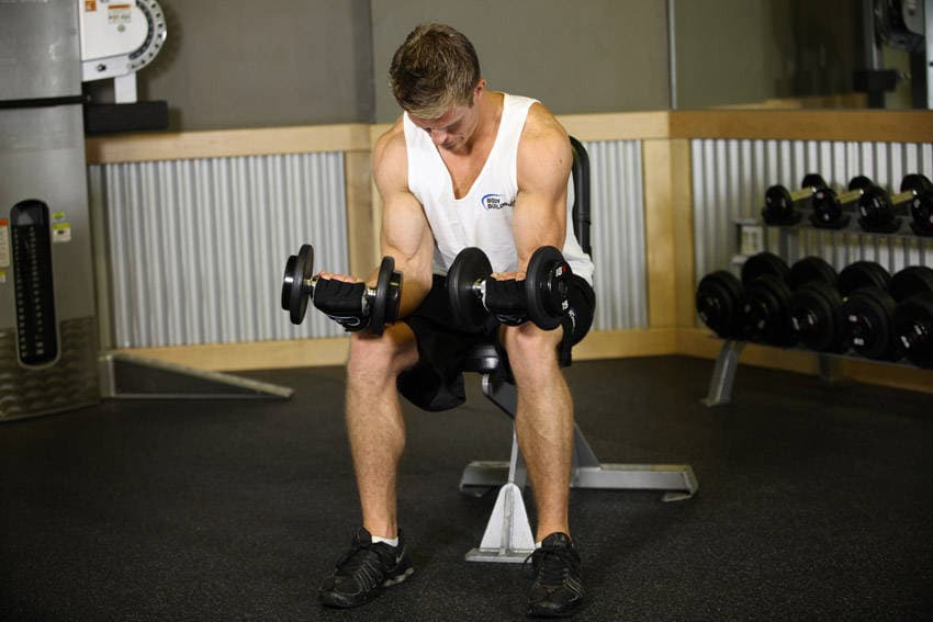 Seated Dumbbell Palms-Up Wrist Curl position 2