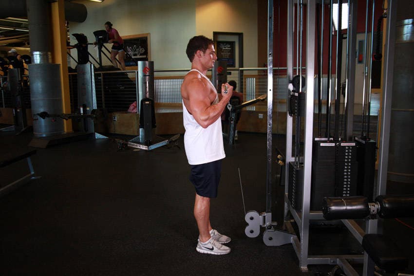 Standing Biceps Cable Curl - ending position