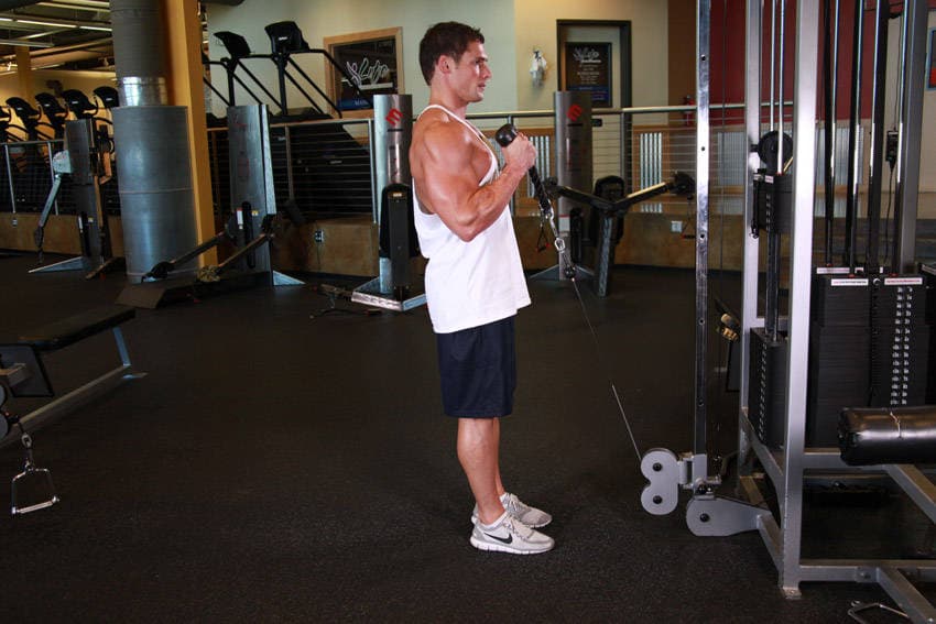 Cable Hammer Curls - Rope Attachment position 2