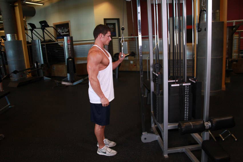 Cable One Arm Tricep Extension position 2