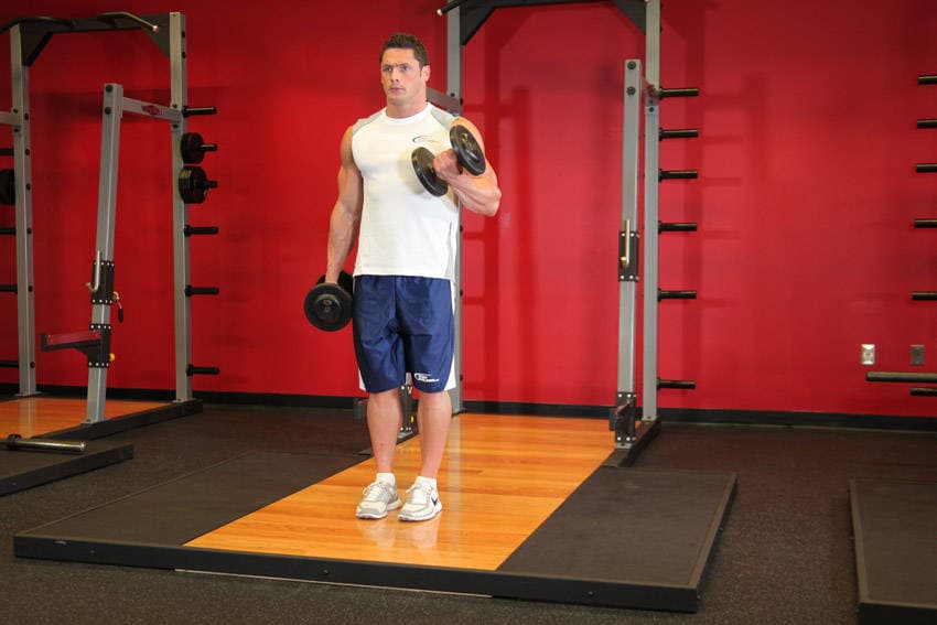 Dumbbell Alternate Bicep Curl position 2