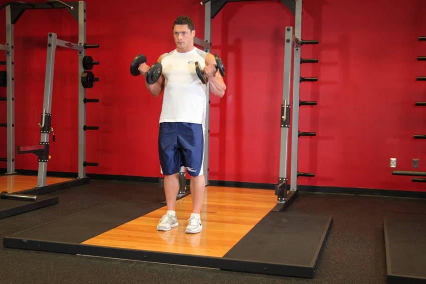 Dumbbell Bicep Curl - ending position