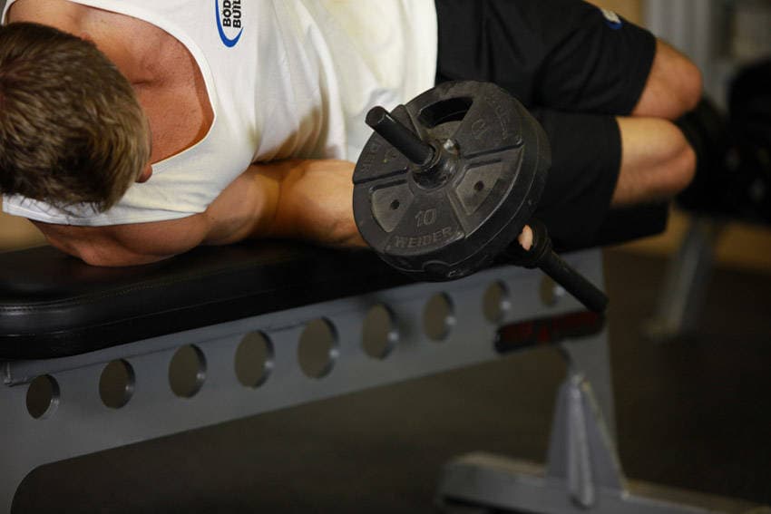 Dumbbell Lying Pronation position 2