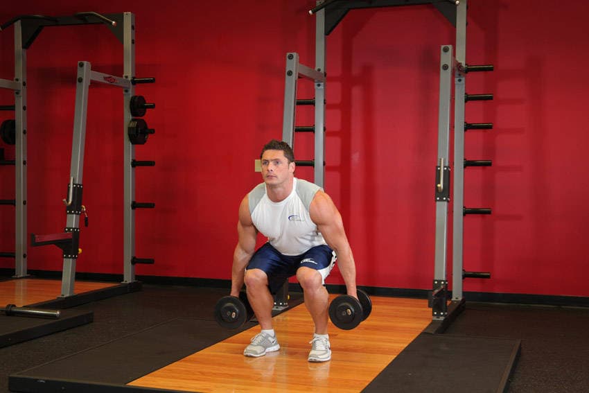 Dumbbell Squat - ending position