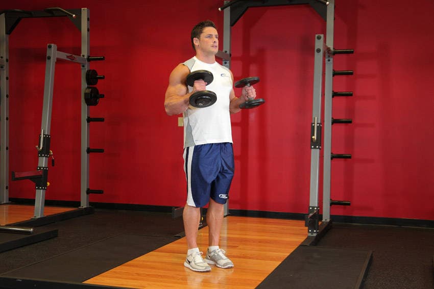Hammer Curls position 2