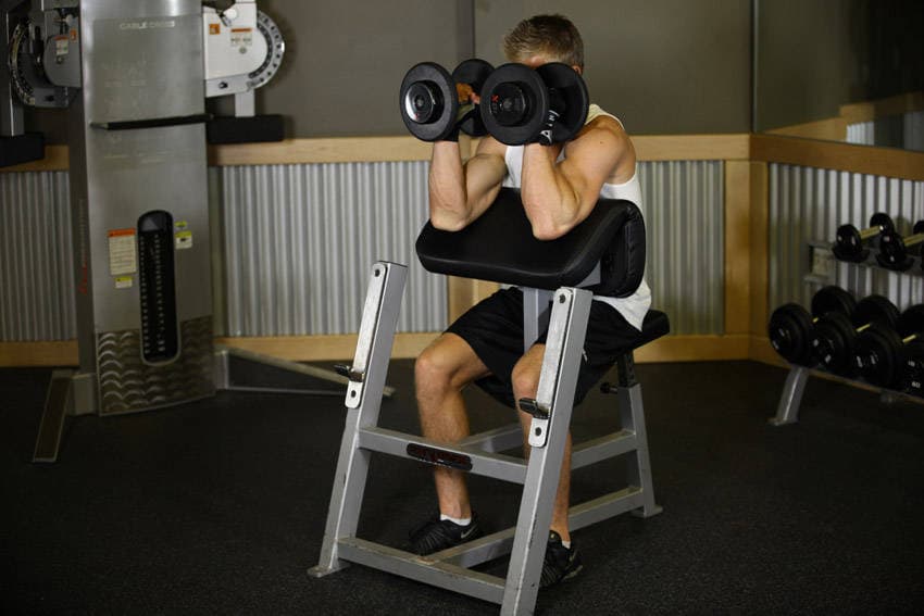 Preacher Hammer Dumbbell Curl - ending position