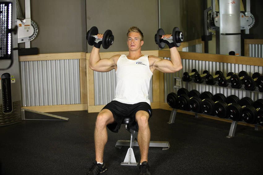 Seated Dumbbell Press - ending position