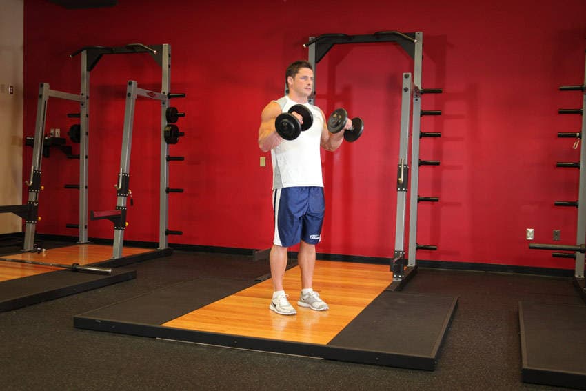 Standing Dumbbell Reverse Curl - ending position