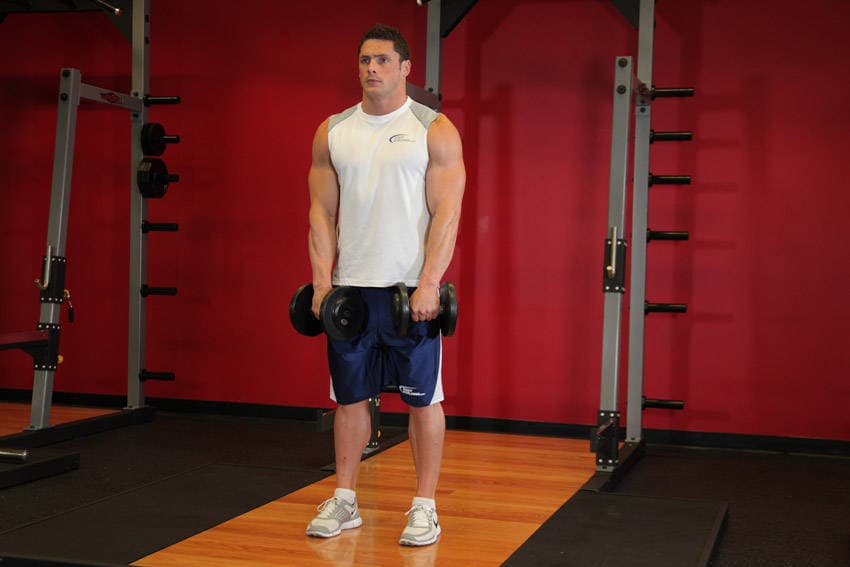 Standing Dumbbell Upright Row - ending position