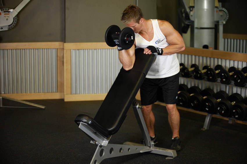 Standing One-Arm Dumbbell Curl Over Incline Bench - ending position