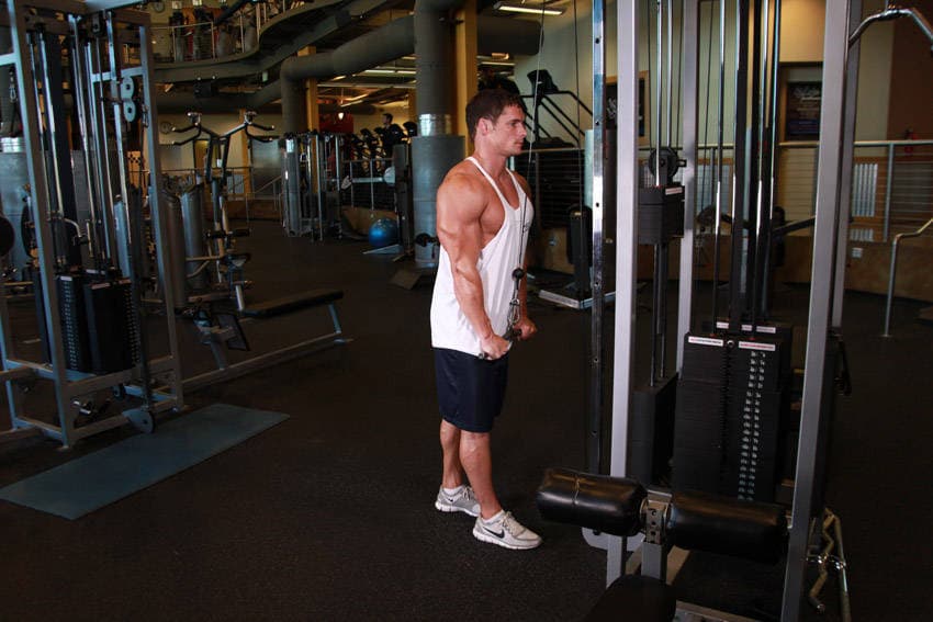 Triceps Pushdown - ending position
