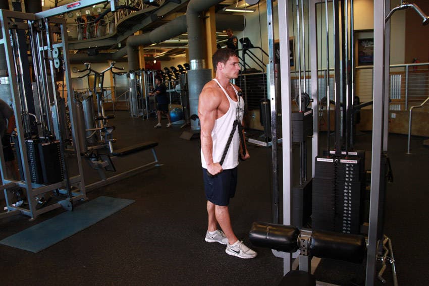 Triceps Pushdown - Rope Attachment - ending position